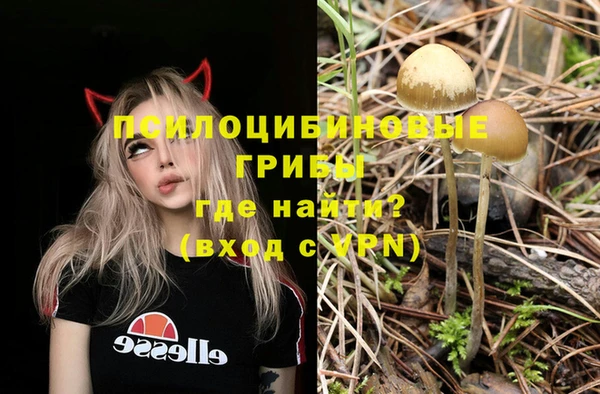 тгк Балахна